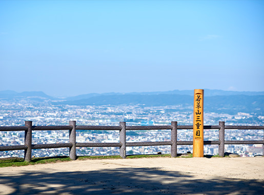 春日山原始林ハイキング 早朝の若草山で森林浴コース