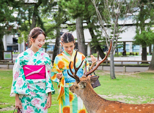 古都奈良で着物レンタルプラン