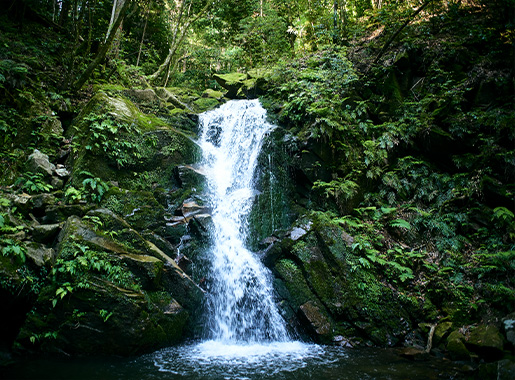 Hiking: Takisaka-no-Michi Path of Samurai Training