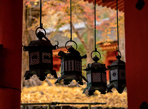 Special Shrine Visit: Morning Visit to Kasuga Taisha Shrine and Nara Park